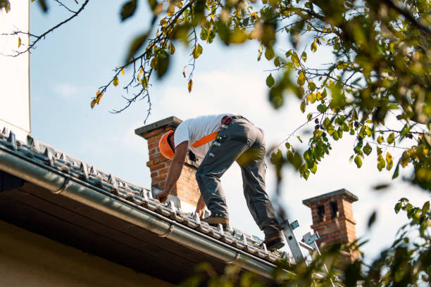 Best Storm Damage Roof Repair  in Union City, GA
